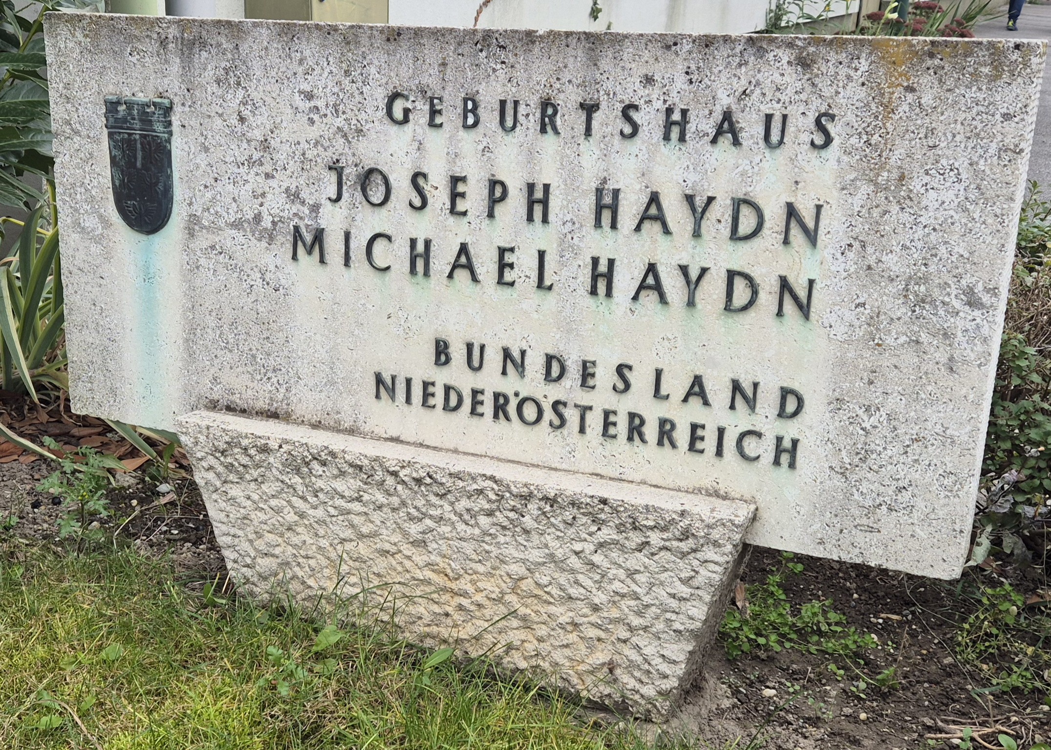 Fin_Stein_1000084405.jpg